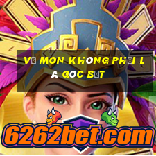 vẽ mon không phải là góc bẹt