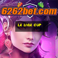 la liga cup