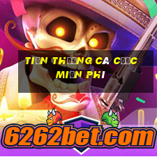 tiền thưởng cá cược miễn phí