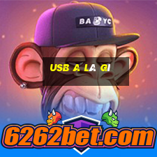 usb a là gì