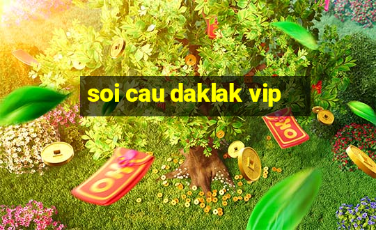 soi cau daklak vip