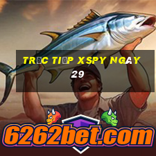 Trực tiếp XSPY ngày 29