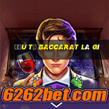 đầu từ baccarat là gì