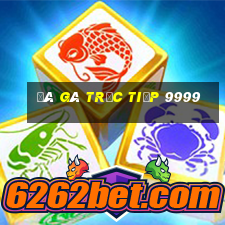 đá gà trực tiếp 9999