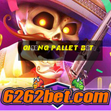 giường pallet bệt