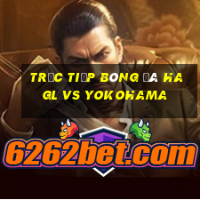 trực tiếp bóng đá hagl vs yokohama