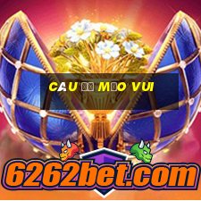 câu đố mẹo vui