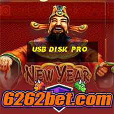 usb disk pro