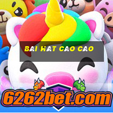 bài hát cào cào