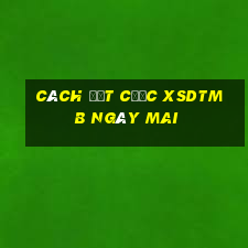 Cách đặt cược XSDTMB ngày mai