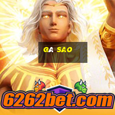 gà sao