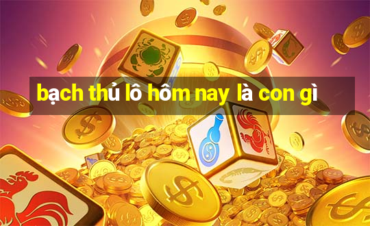 bạch thủ lô hôm nay là con gì