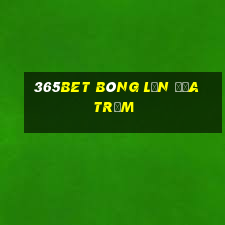 365bet bóng lăn đĩa trạm