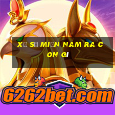 xổ số miền nam ra con gì