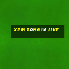 xem bóng đá live