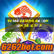 sv388 casino gà đòn đòn trực tiếp