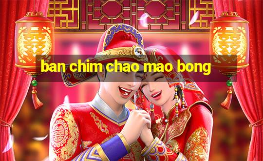 ban chim chao mao bong