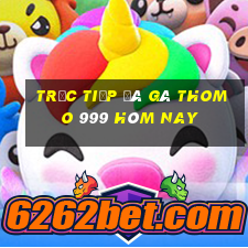 trực tiếp đá gà thomo 999 hôm nay