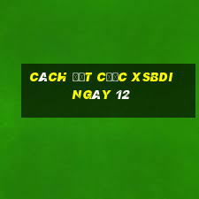 Cách đặt cược XSBDI ngày 12