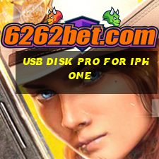 usb disk pro for iphone