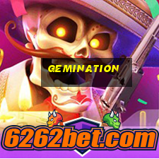 gemination