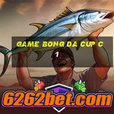 game bong da cup c1