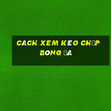 cách xem kèo chấp bóng đá