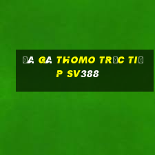 đá gà thomo trực tiếp sv388