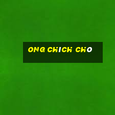 ong chích chó