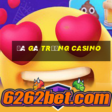 đá gà trường casino