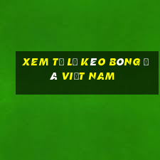 xem tỷ lệ kèo bóng đá việt nam