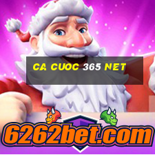 ca cuoc 365 net