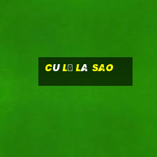 cù lũ là sao