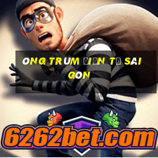 ông trùm điện tử sài gòn