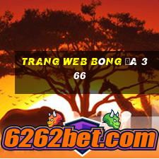 Trang web bóng đá 366