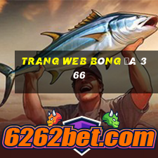 Trang web bóng đá 366