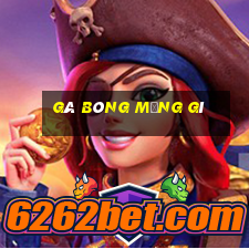 gà bông mạng gì