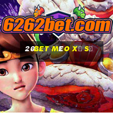 20bet Mèo xổ số