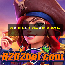 gà khét chân xanh