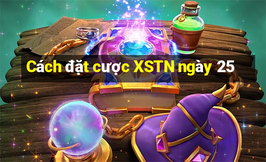 Cách đặt cược XSTN ngày 25