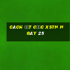 Cách đặt cược XSTN ngày 25