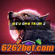 Siêu ông trùm 2