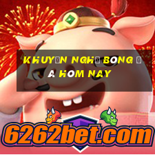 Khuyến nghị bóng đá hôm nay