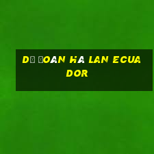 dự đoán hà lan ecuador