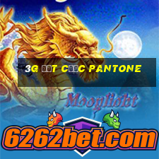 3g đặt cược Pantone