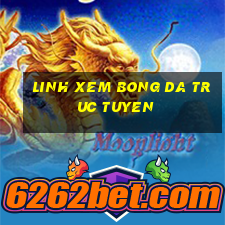 linh xem bong da truc tuyen