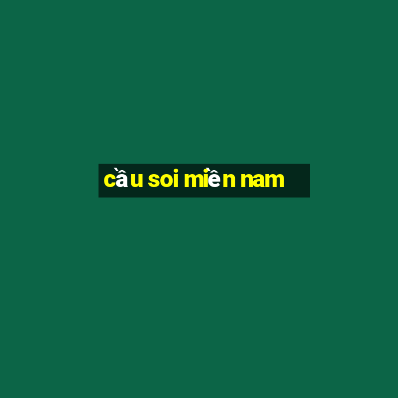 cầu soi miền nam