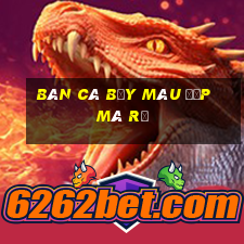 bán cá bảy màu đẹp mà rẻ