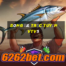 bóng đá trực tuyến vtv5