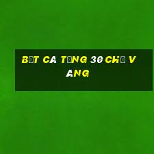 Bắt cá tặng 30 chỉ vàng